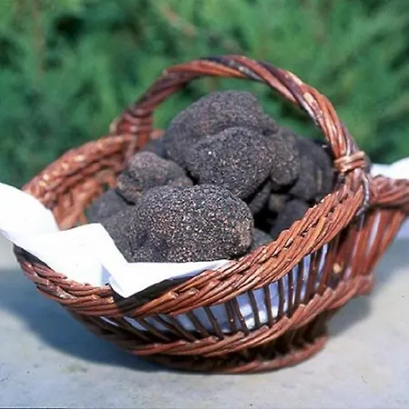 Les Charmes En Perigord Noir Proche De Sarlat Paulin