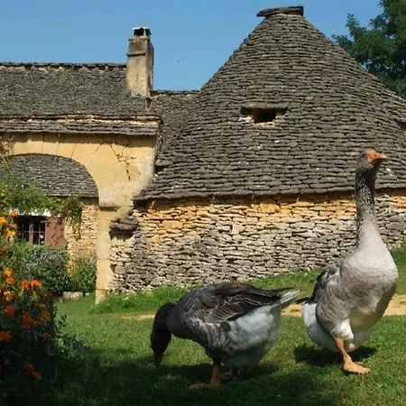 Les Charmes En Perigord Noir Proche De Sarlat